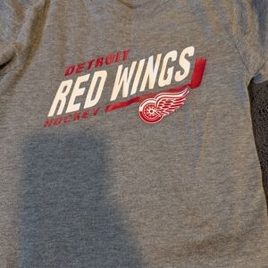 Detroit Red Wings Gray T-Shirt